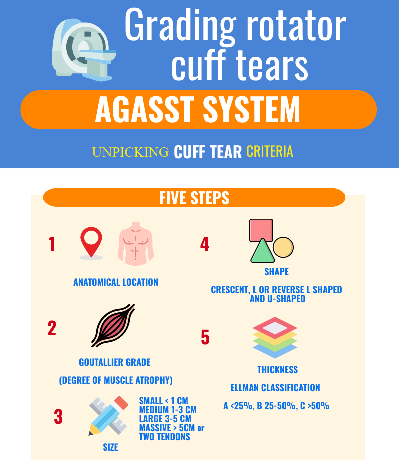 Rotator cuff tears & tendinopathy  Blog by MSK Playbook
