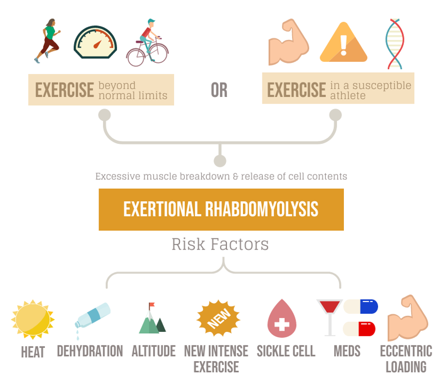 Exertional rhabdomyolysis Blog by MSK Playbook