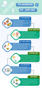 Food or Fiction: the gut-joint axis and the athlete Blog by MSK Playbook